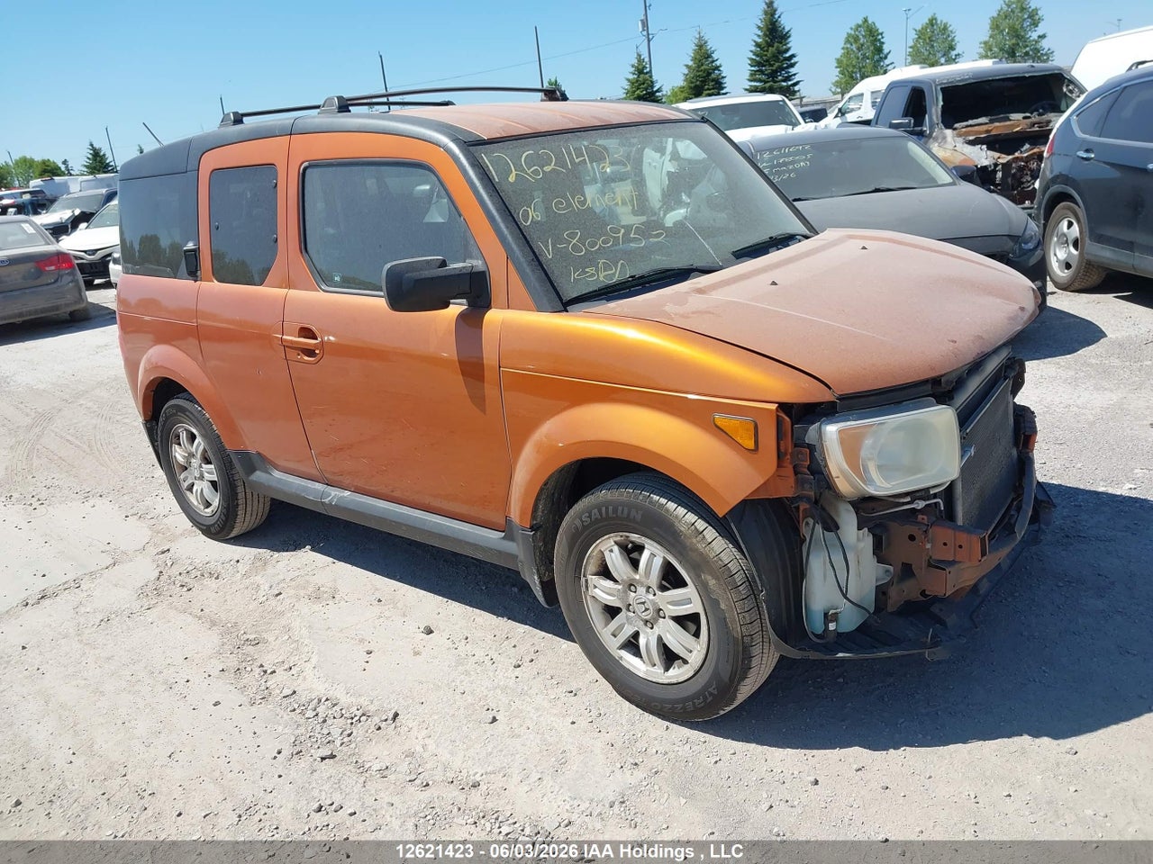 5J6YH28776L800952 · 2006 HONDA ELEMENT EX