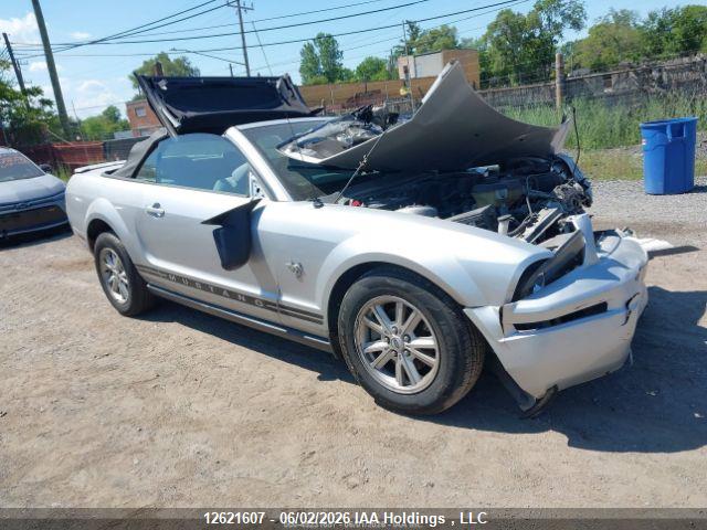 1ZVHT84N095112664 · 2009 FORD MUSTANG