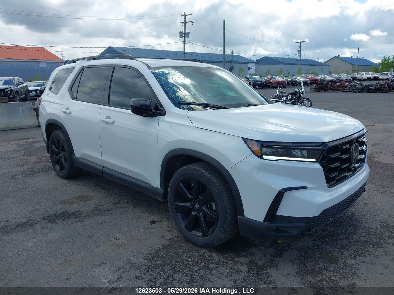 5FNYG1H86PB502828 · 2023 HONDA PILOT BLACK EDITION
