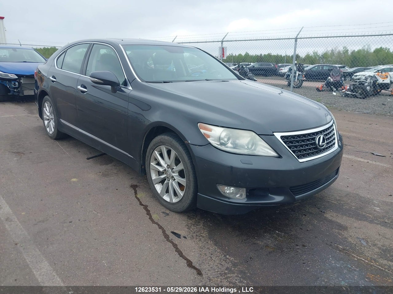 JTHCL5EF5B5011546 · 2011 LEXUS LS 460