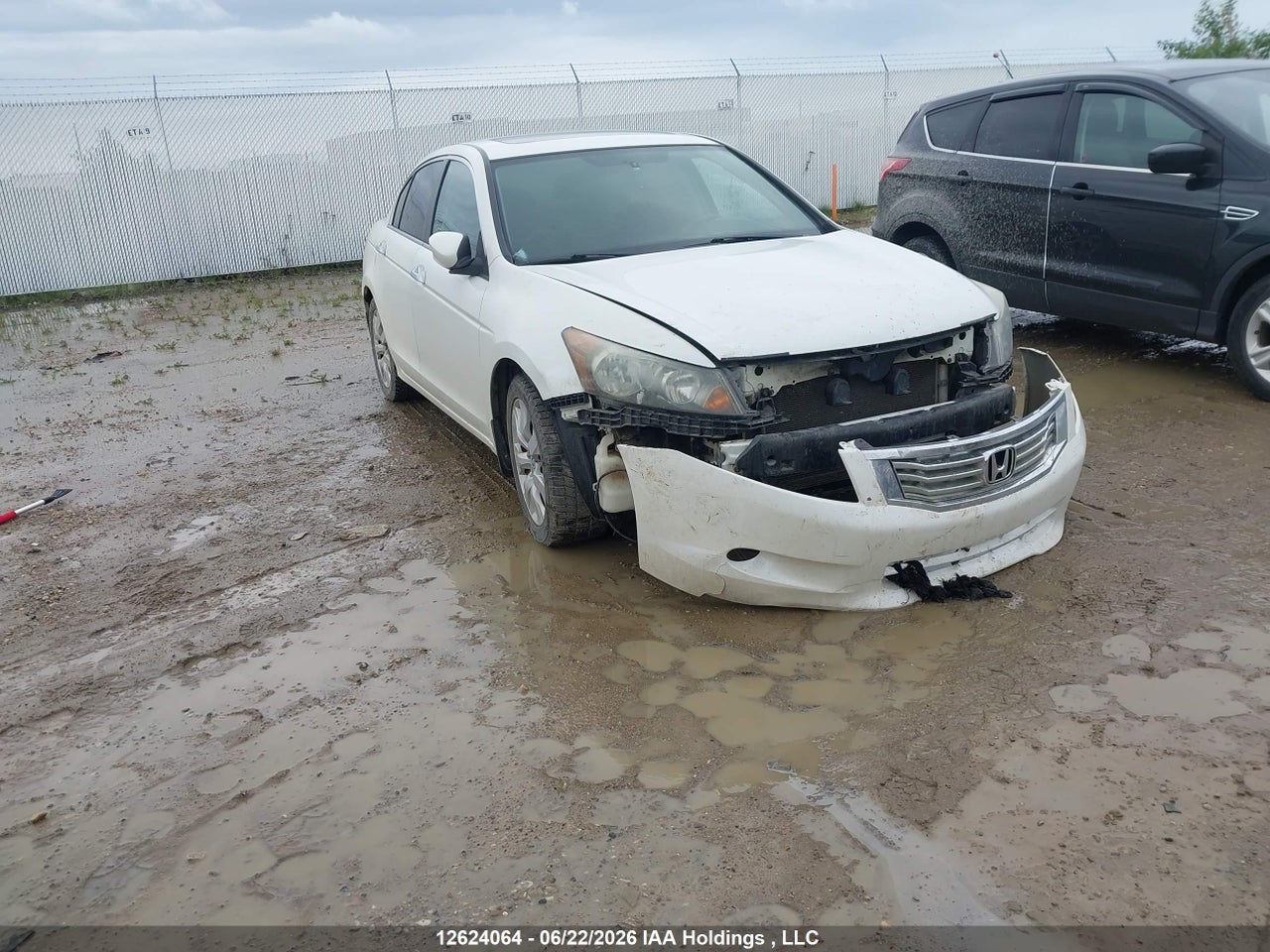 1HGCP36718A801316 · 2008 HONDA ACCORD EX V6