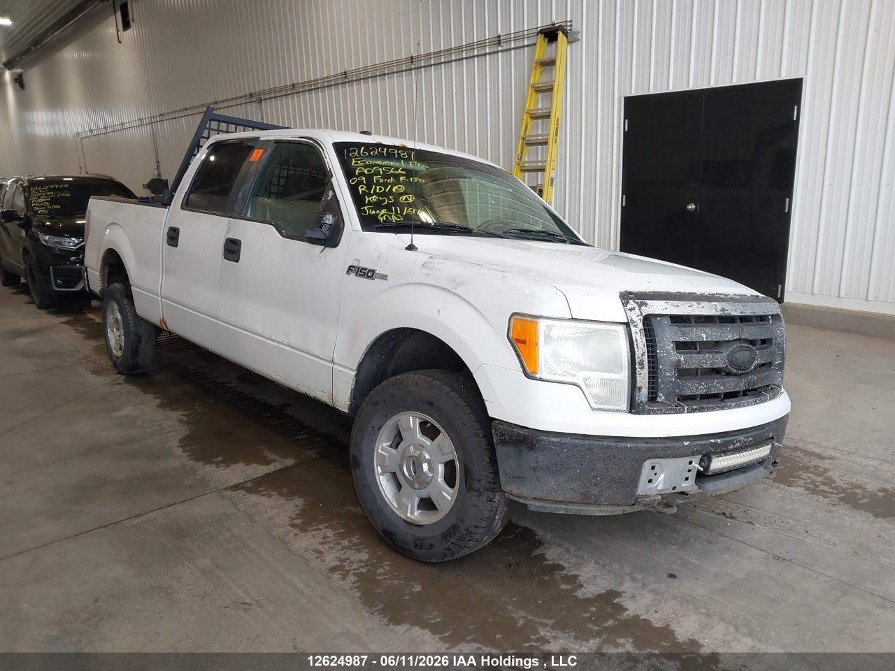 1FTRW14889FA09566 · 2009 FORD F-150 XLT