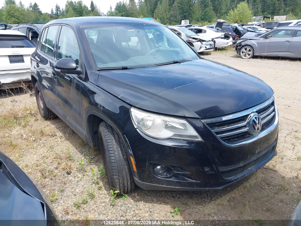 NVGBV95N29W004592 · 2009 VOLKSWAGEN TIGUAN SE/SEL