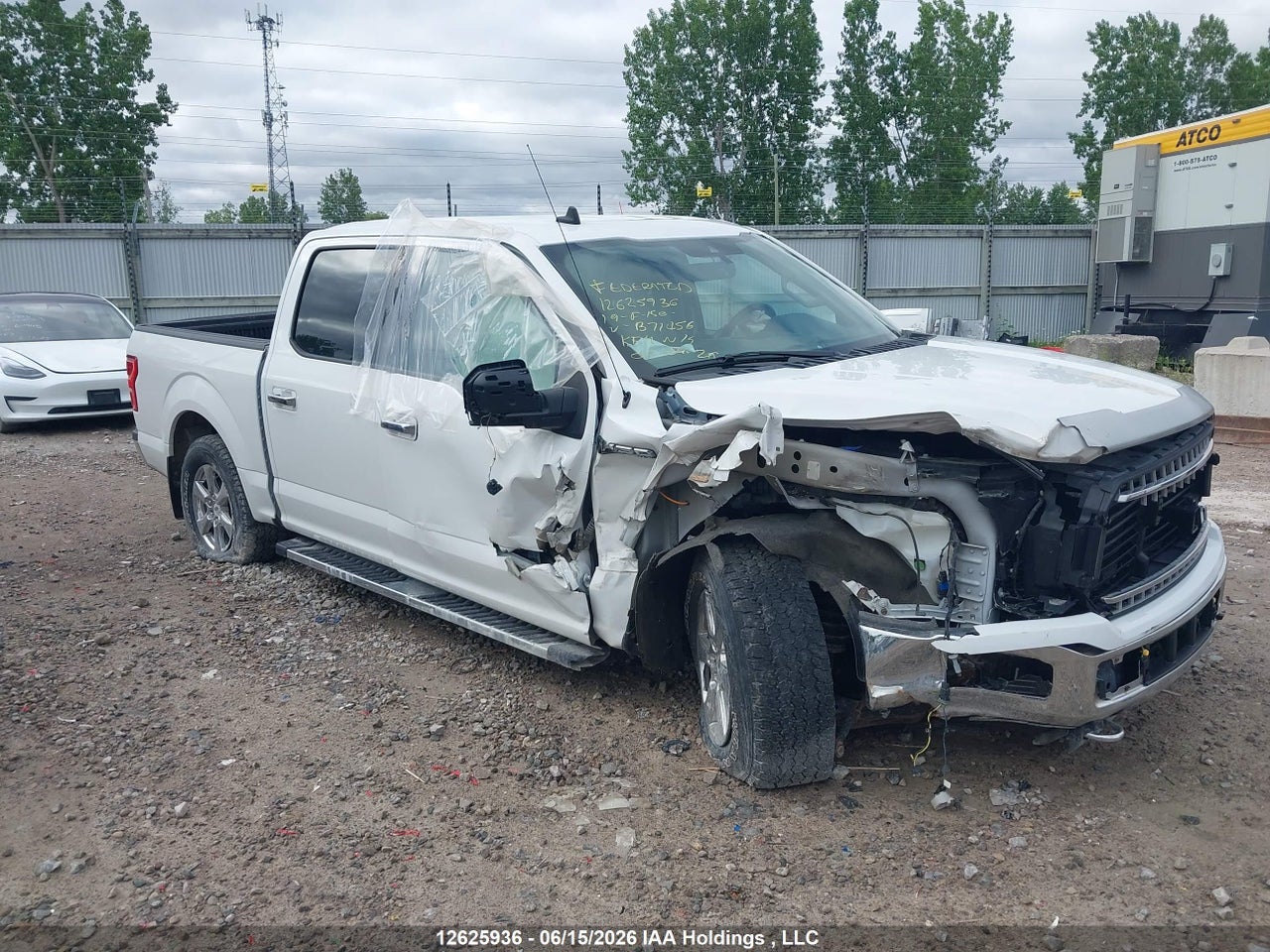 1FTEW1EP7KFB71456 · 2019 FORD F-150 XLT