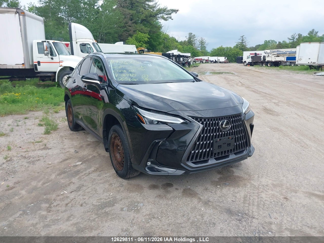 2T2ADCEZ0RC004985 · 2024 LEXUS NX 250