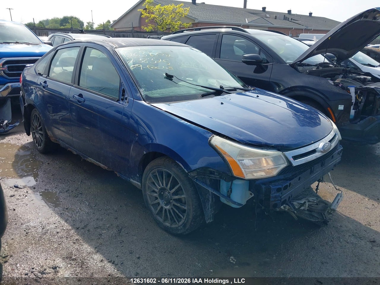 1FAHP36N69W238325 · 2009 FORD FOCUS SES