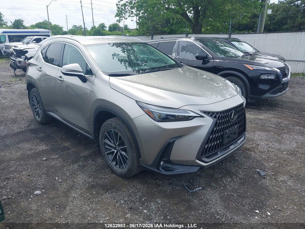 2T2ADCEZ4PC003853 · 2023 LEXUS NX 250