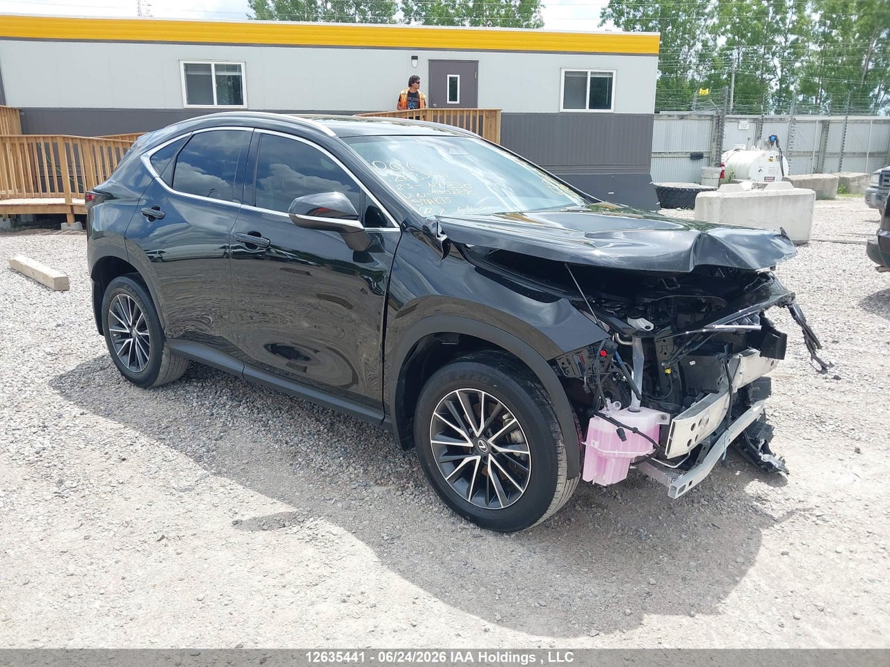 2T2ADCEZ4PC002850 · 2023 LEXUS NX 250