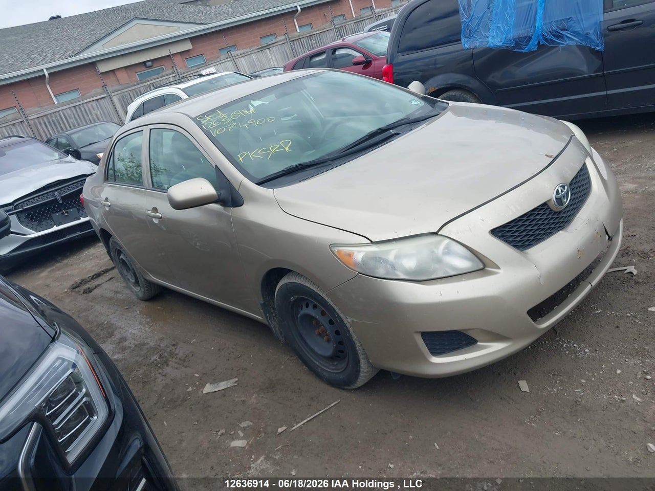 2T1BU40E49C074900 · 2009 TOYOTA COROLLA S/LE/XLE