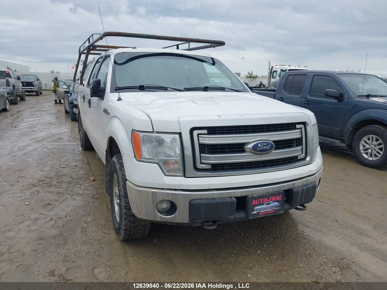 1FTFW1EFXDFC74689 · 2013 FORD F-150 FX4/KING RANCH/LARIAT/PLATINUM/XLT