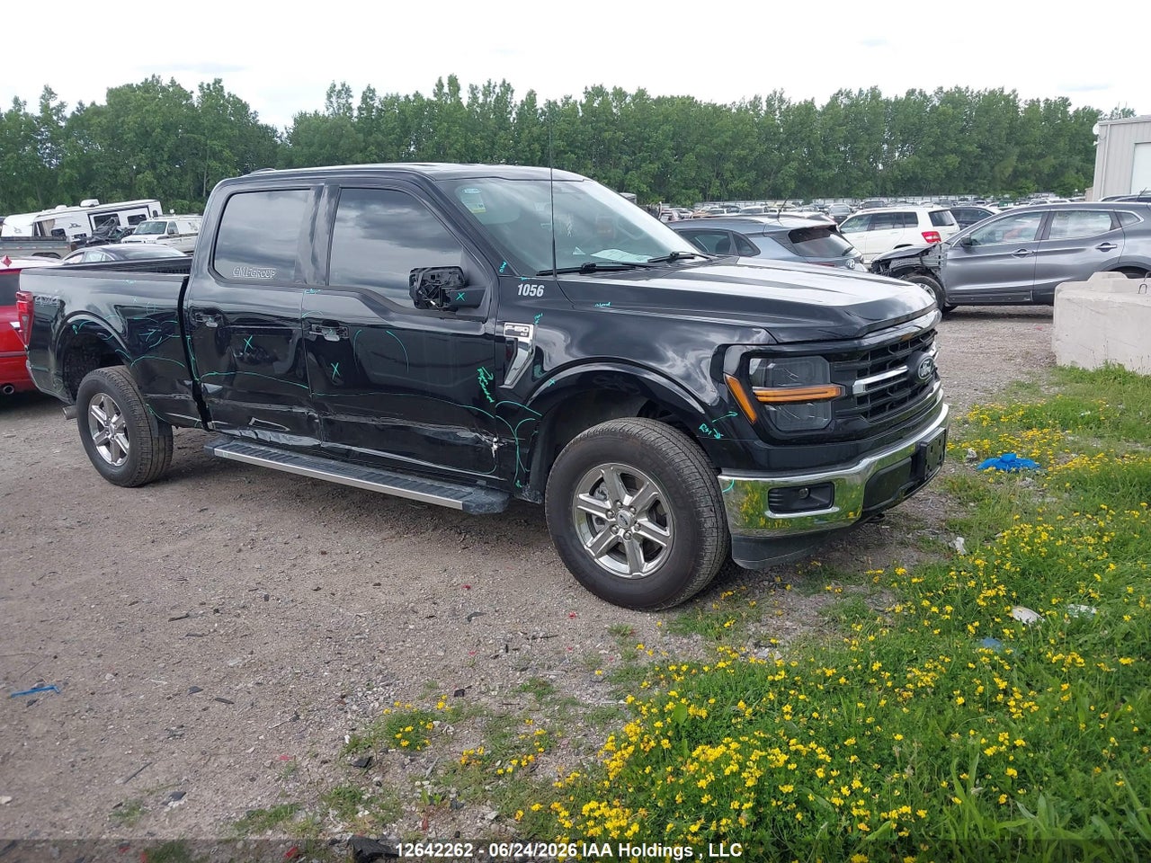 1FTFW3L88SKD51970 · 2025 FORD F-150