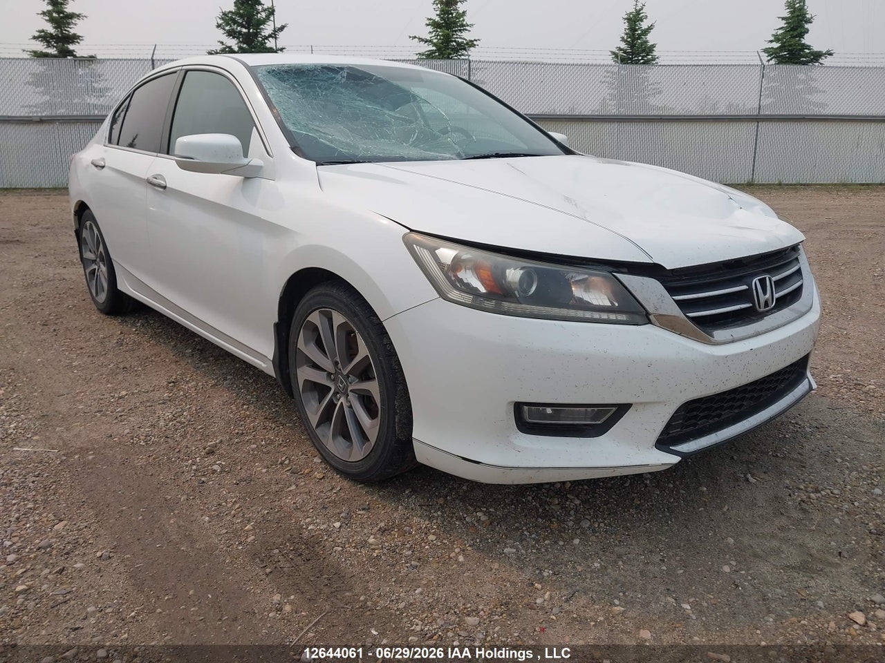 1HGCR2F51DA801507 · 2013 HONDA ACCORD SPORT