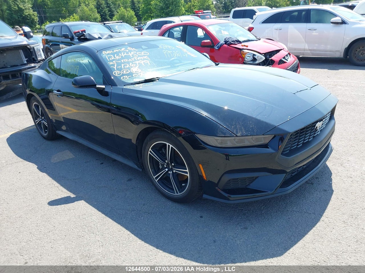 1FA6P8TH8S5126799 · 2025 FORD MUSTANG
