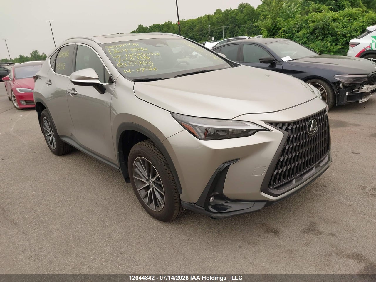 JTJHKCFZ4S2057116 · 2025 LEXUS NX 450H+