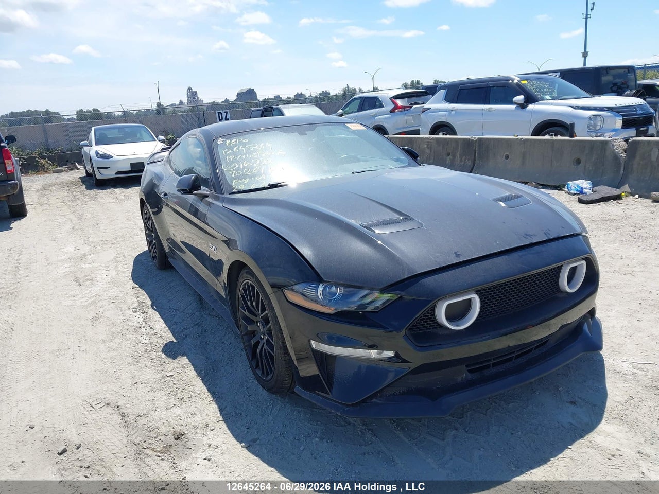 1FA6P8CF1K5160288 · 2019 FORD MUSTANG GT
