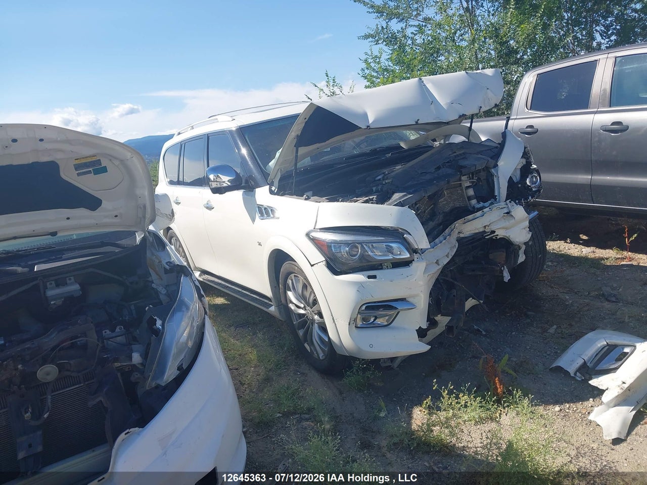 JN8AZ2NC4G9401473 · 2016 INFINITI QX80