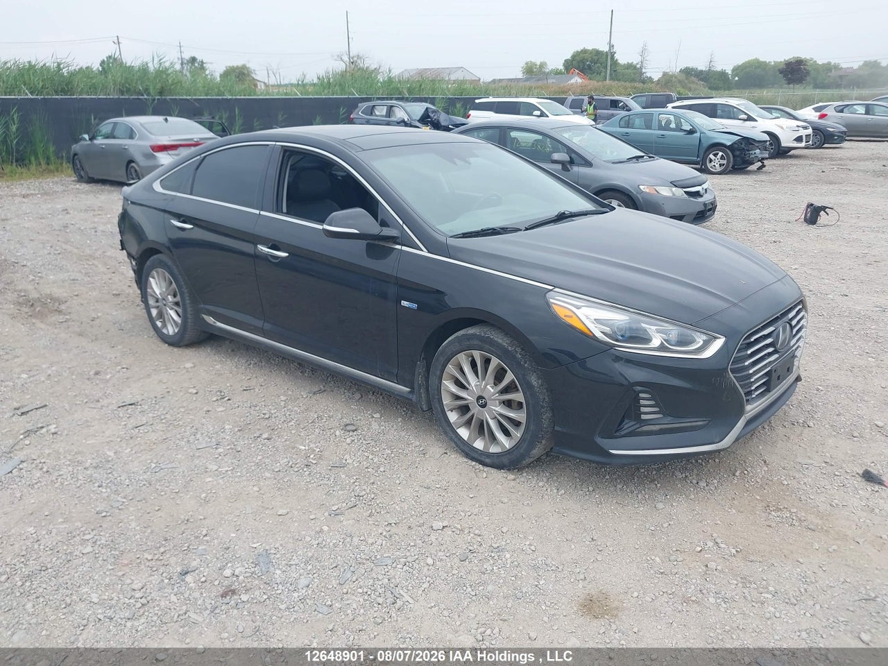 KMHE34L33JA084882 · 2018 HYUNDAI SONATA HYBRID LIMITED