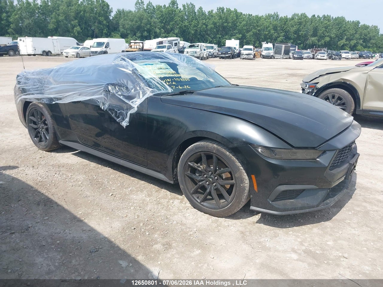 1FAGP8UH8S5108550 · 2025 FORD MUSTANG ECOBOOST PREMIUM