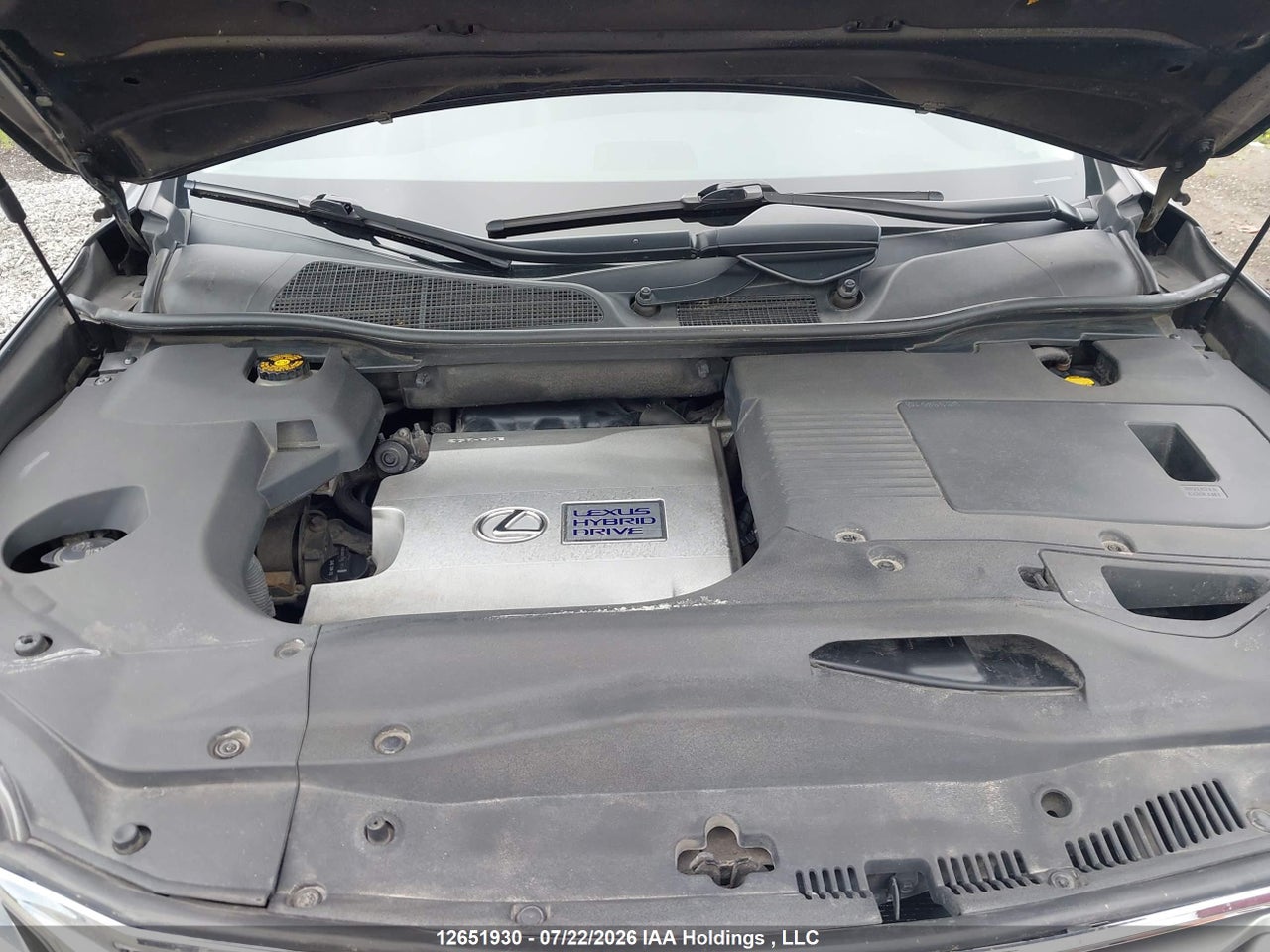 JTJBC1BA2E2069745 · 2014 LEXUS RX 450H · 9/19
