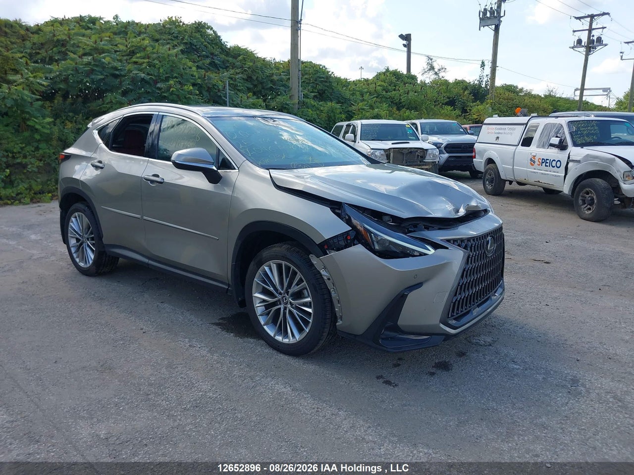 2025 LEXUS NX 350H