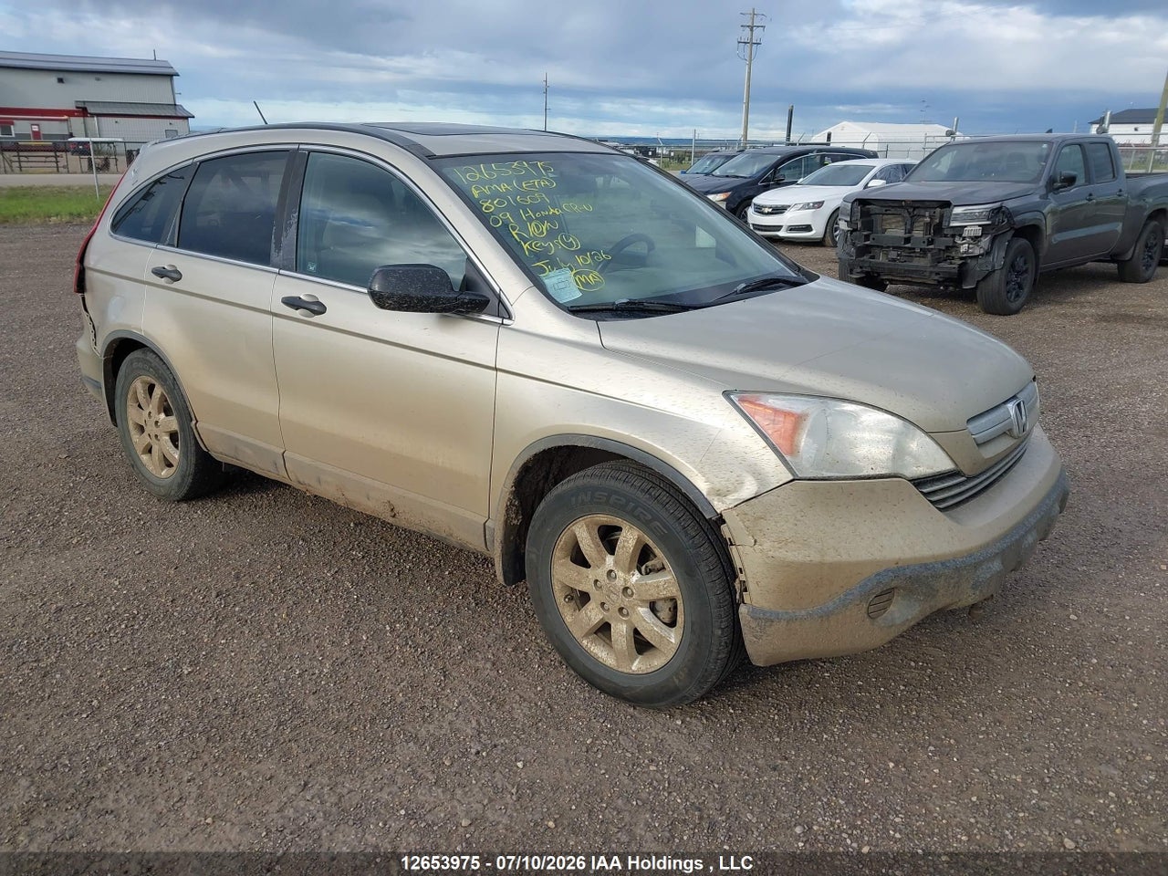 5J6RE48559L801609 · 2009 HONDA CR-V EX