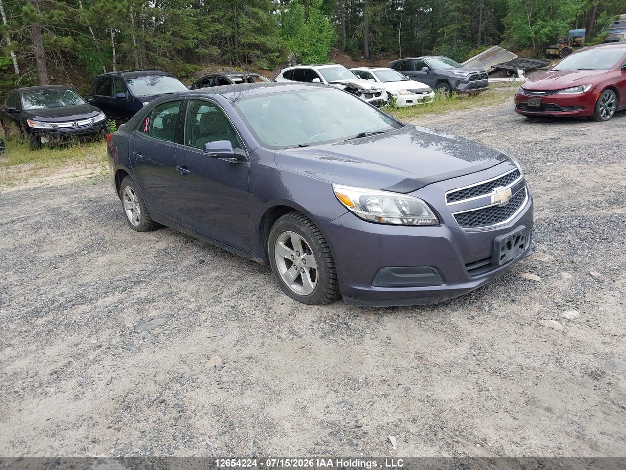 1G11B5SA3DF253231 · 2013 CHEVROLET MALIBU LS