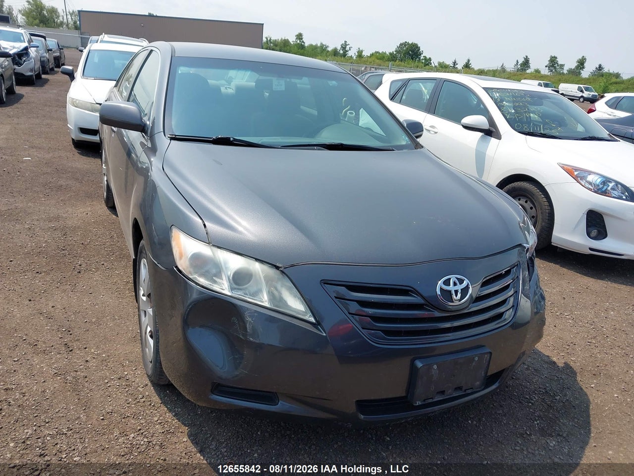 4T1BE46K59U346315 · 2009 TOYOTA CAMRY SE/LE/XLE