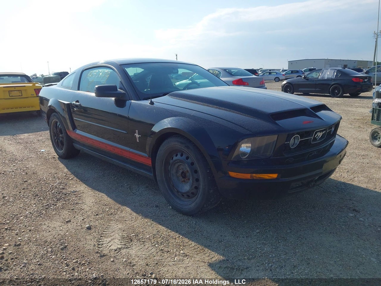 1ZVHT80N385190781 · 2008 FORD MUSTANG V6