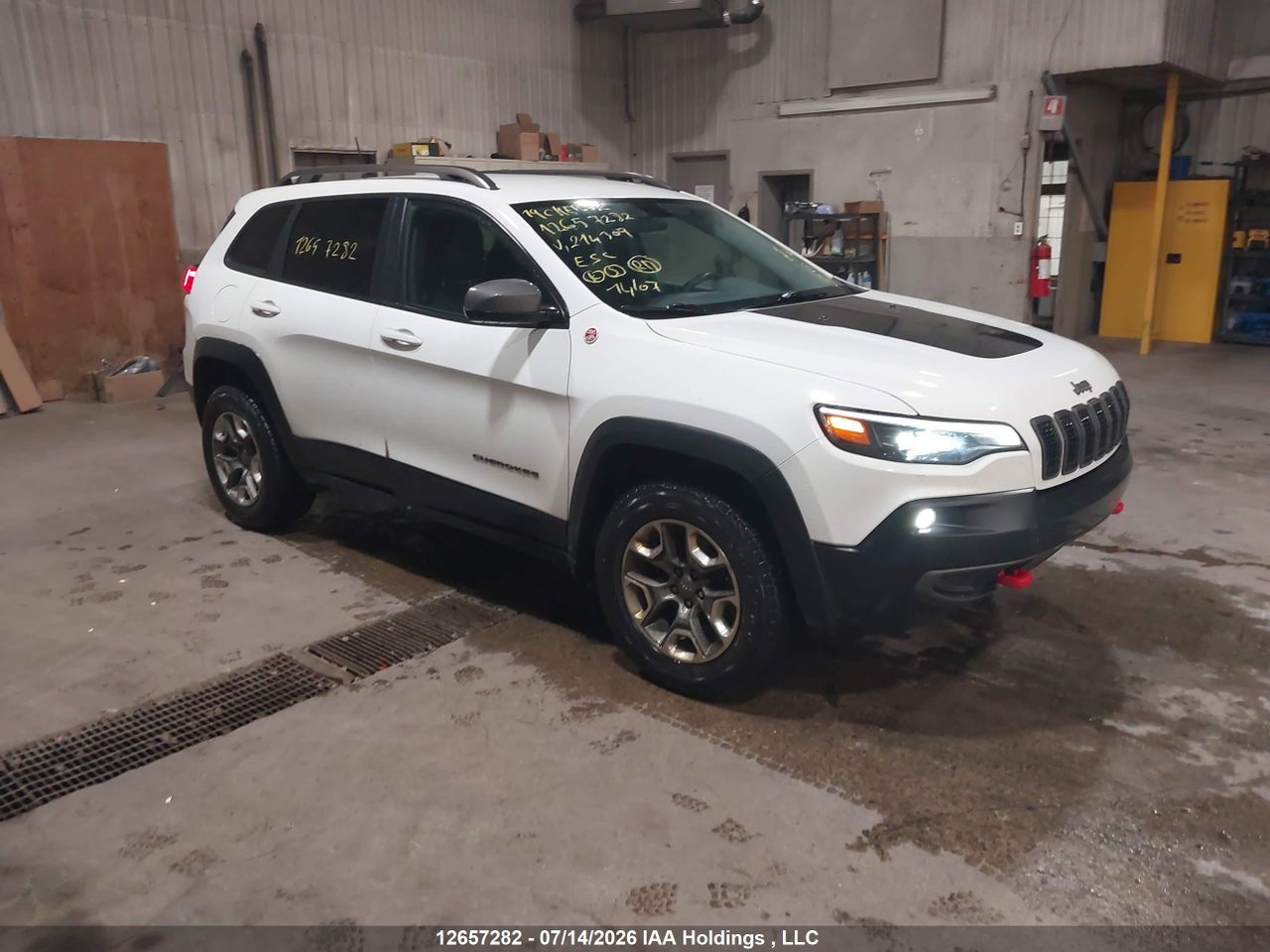 1C4PJMBN3KD214309 · 2019 JEEP CHEROKEE TRAILHAWK