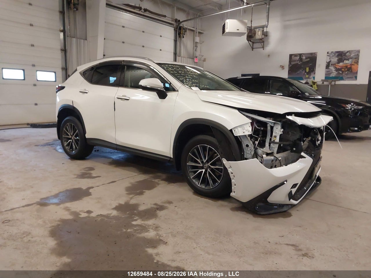 2T2AKCEZ4PC011392 · 2023 LEXUS NX 350H