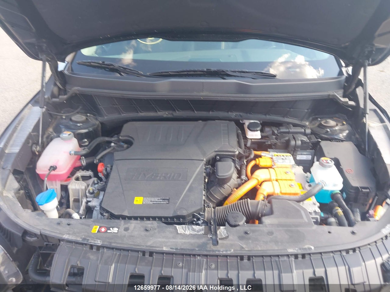 KNDCS3LF0R5199155 · 2024 KIA NIRO EX · 10/24