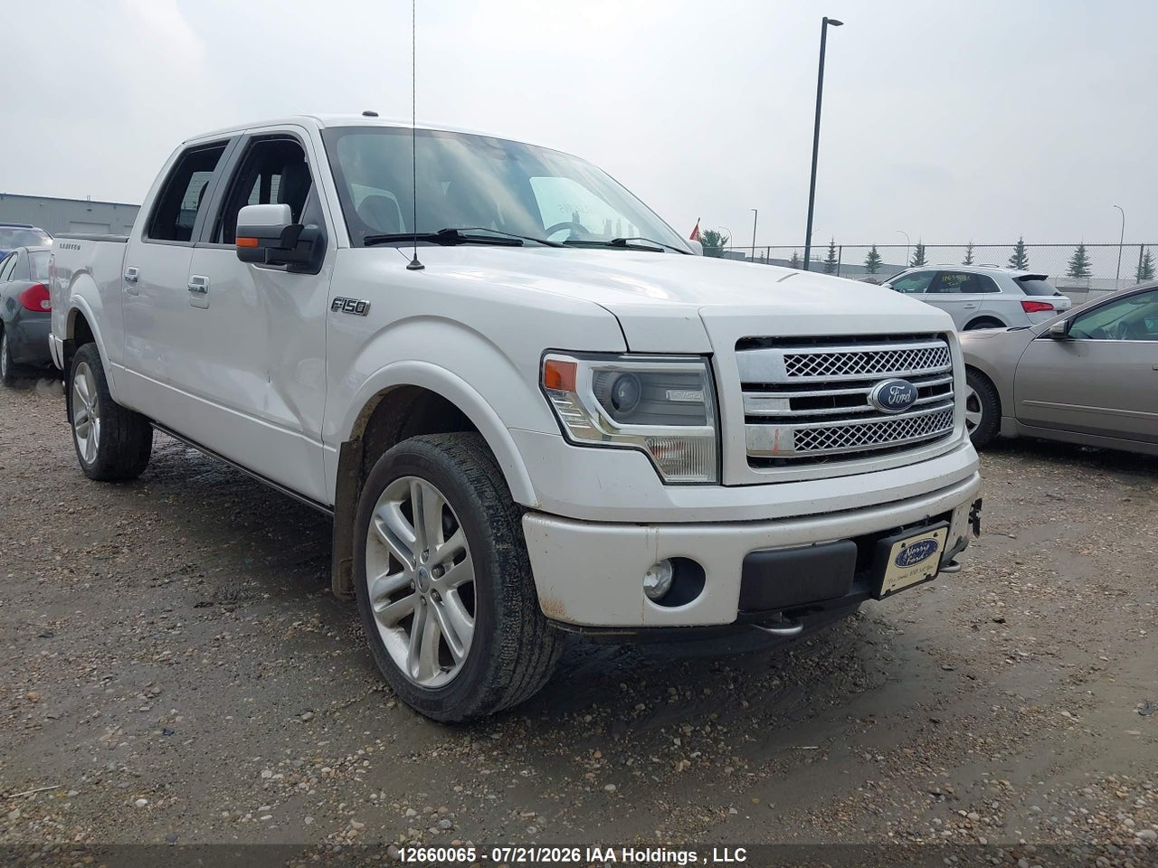 1FTFW1E67EFC45703 · 2014 FORD F-150 LIMITED