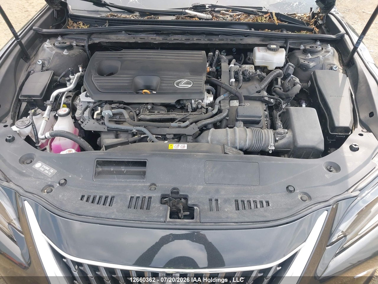 58AB21B11RU014661 · 2024 LEXUS ES 300H · 10/19