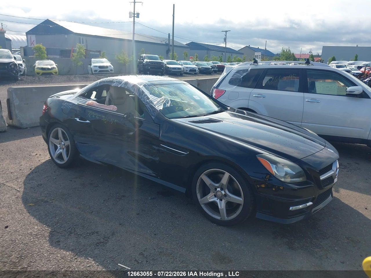 WDDPK4HAXDF061300 · 2013 MERCEDES BENZ SLK 250