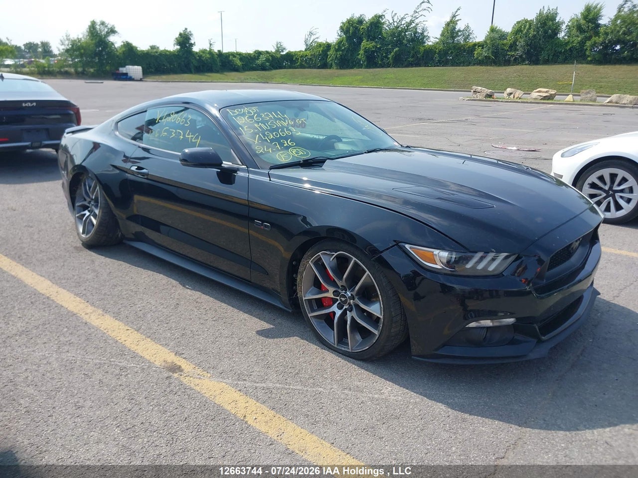 1FA6P8CF1F5420663 · 2015 FORD MUSTANG GT