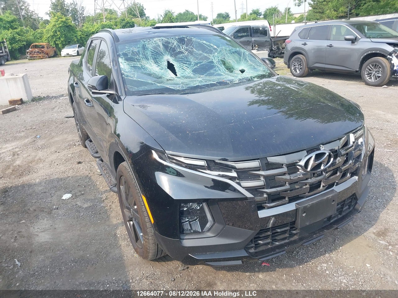 5NTJEDDF6RH106501 · 2024 HYUNDAI SANTA CRUZ LIMITED