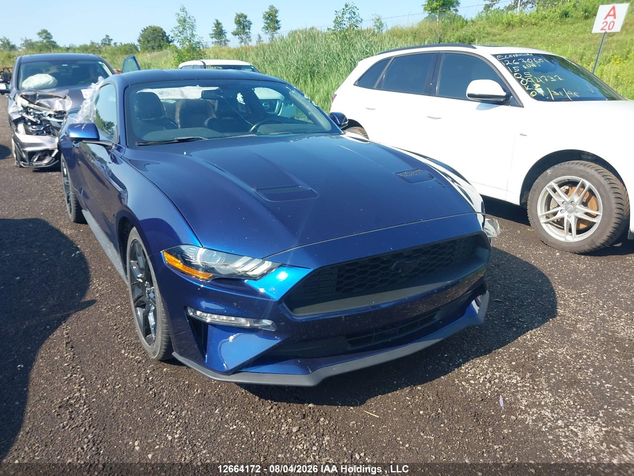 1FA6P8TH3K5190183 · 2019 FORD MUSTANG ECOBOOST PREMIUM
