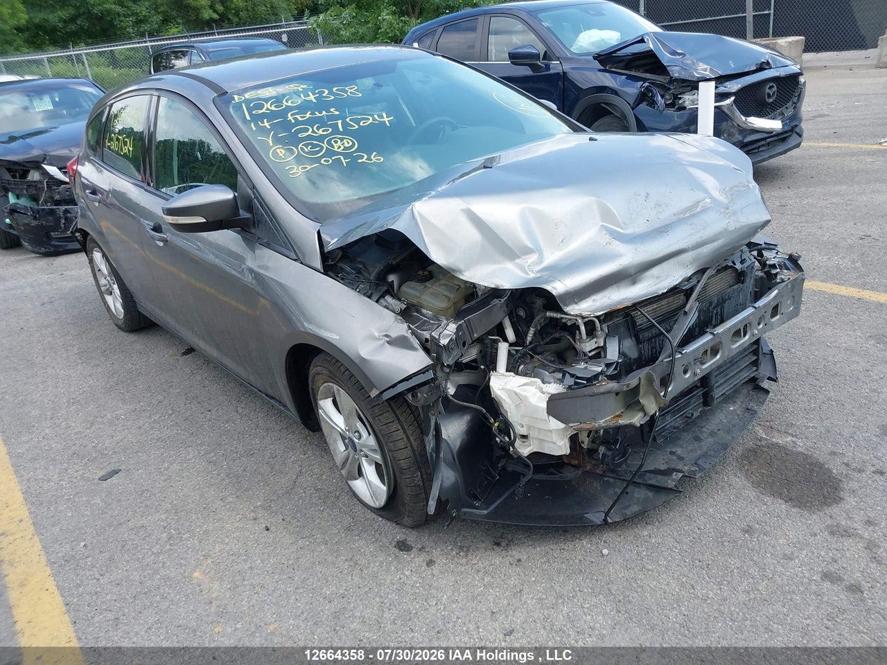 1FADP3K26EL267524 · 2014 FORD FOCUS SE