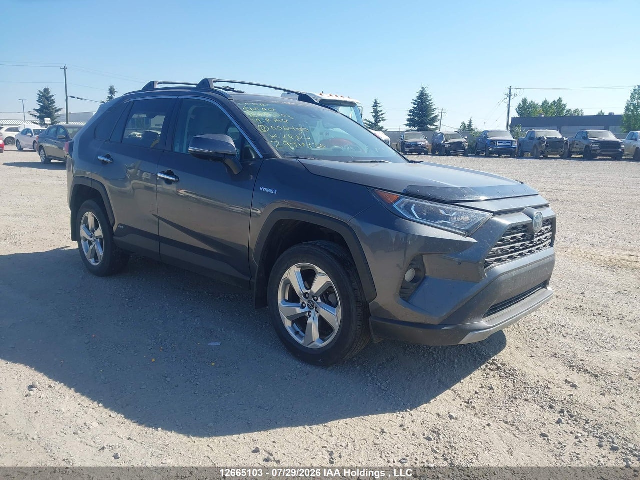 2T3DWRFV3KW006400 · 2019 TOYOTA RAV4 LIMITED