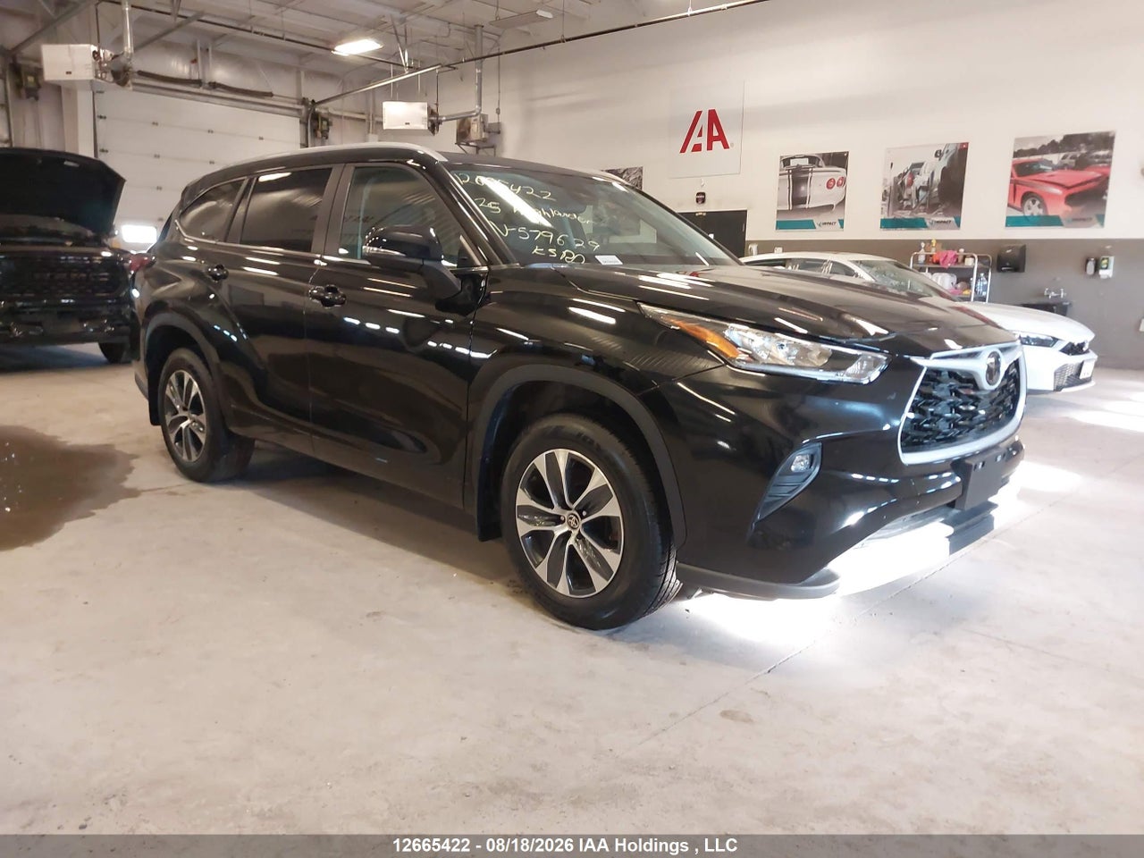 2025 TOYOTA highlander xle