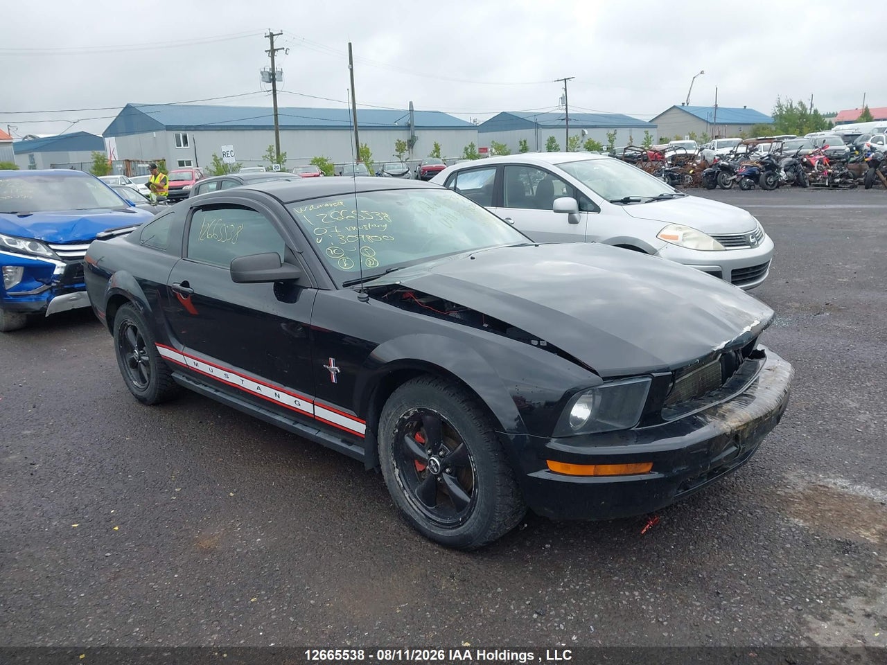 1ZVFT80N075309800 · 2007 FORD MUSTANG