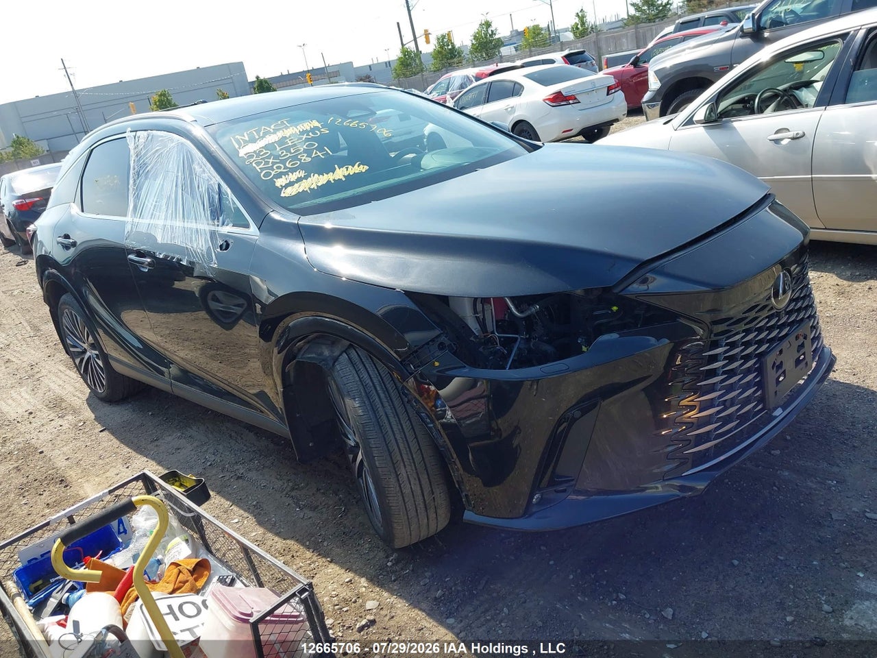 2T2BAMCA2PC026841 · 2023 LEXUS RX 350
