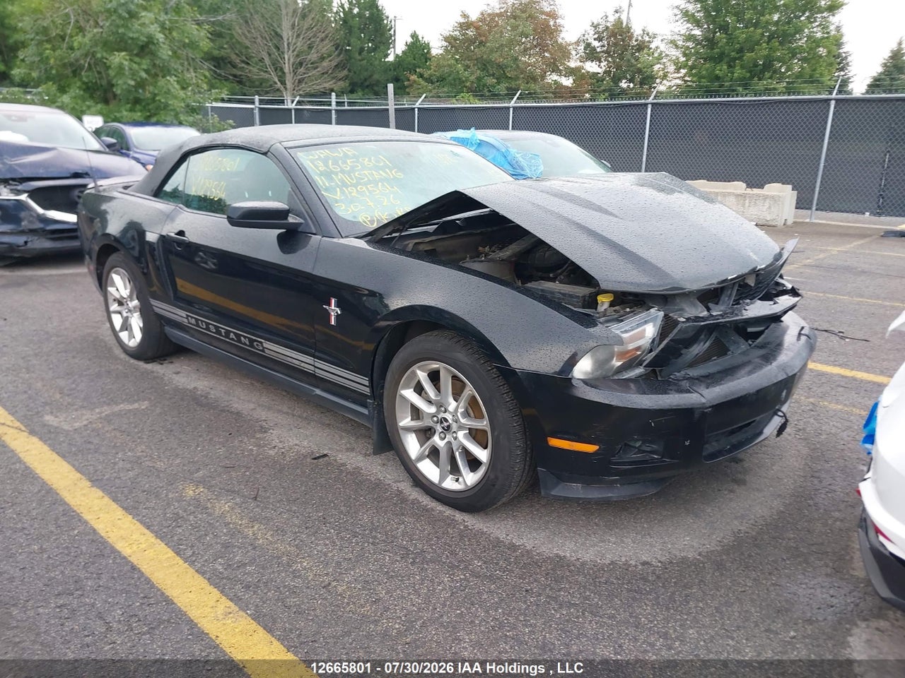 1ZVBP8EM7B5129564 · 2011 FORD Mustang Convertible
