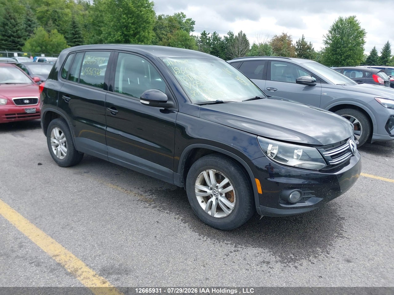 WVGJV7AX9DW556378 · 2013 VOLKSWAGEN TIGUAN