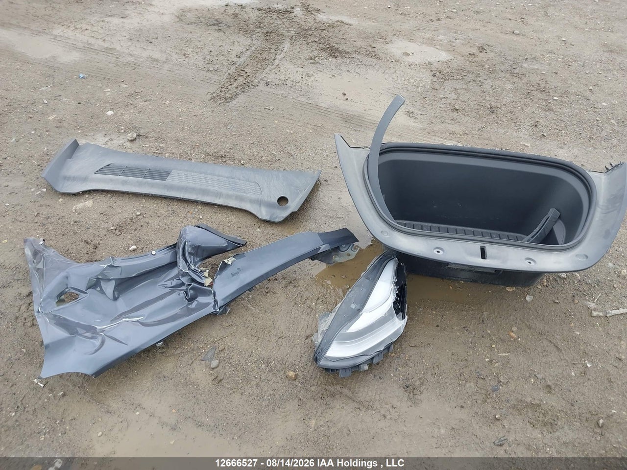 5YJYGDEF8MF081324 · 2021 TESLA MODEL Y · 12/22