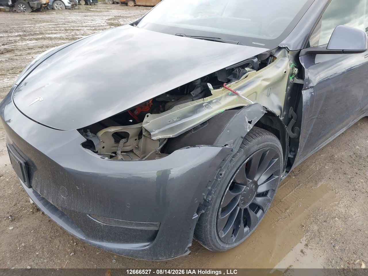 5YJYGDEF8MF081324 · 2021 TESLA MODEL Y · 6/22
