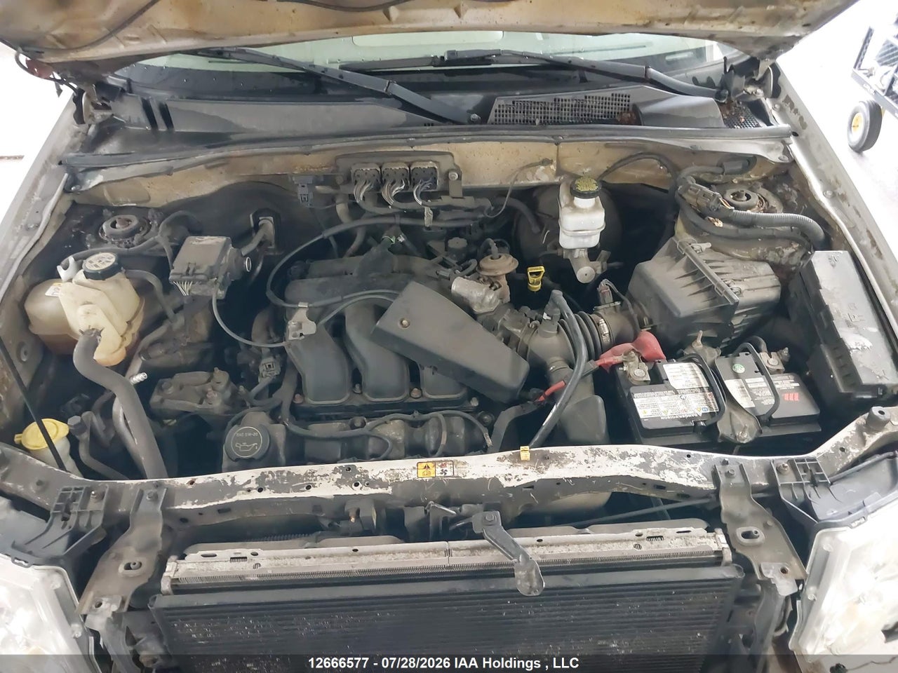 1FMCU03178KC78606 · 2008 FORD ESCAPE XLT · 10/22