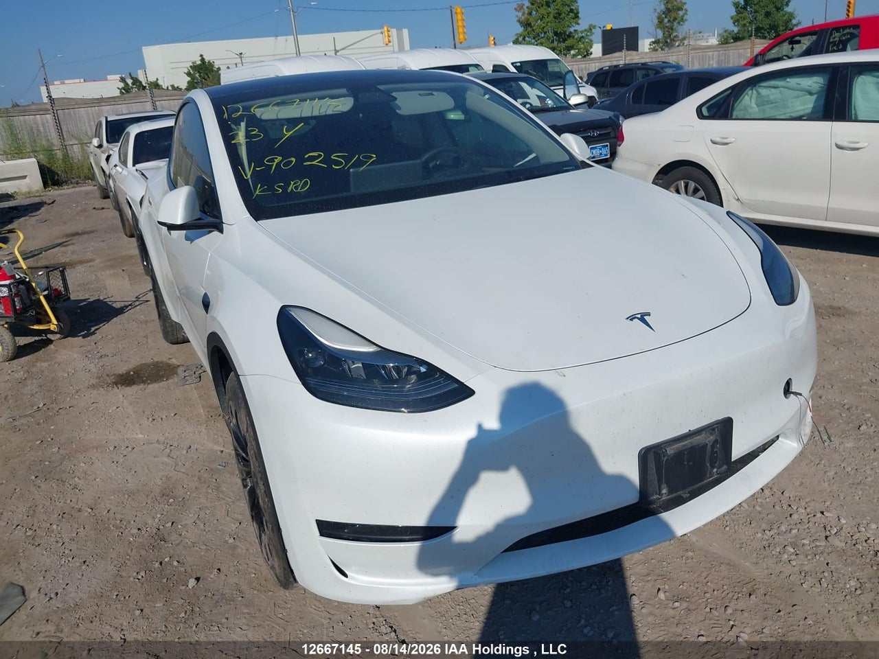 2023 TESLA MODEL Y RWD