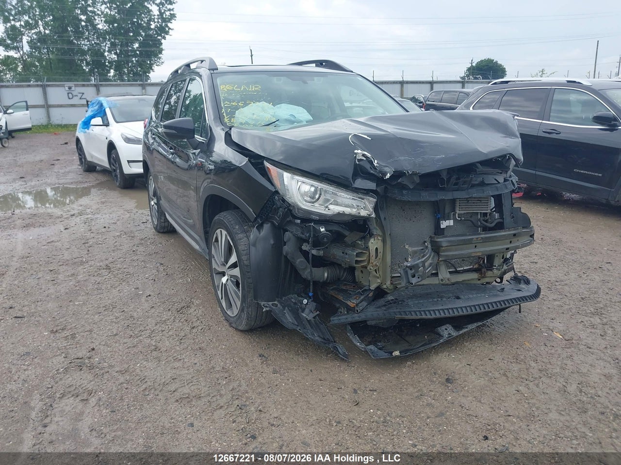 4S4WMAPD5K3409282 · 2019 SUBARU ASCENT