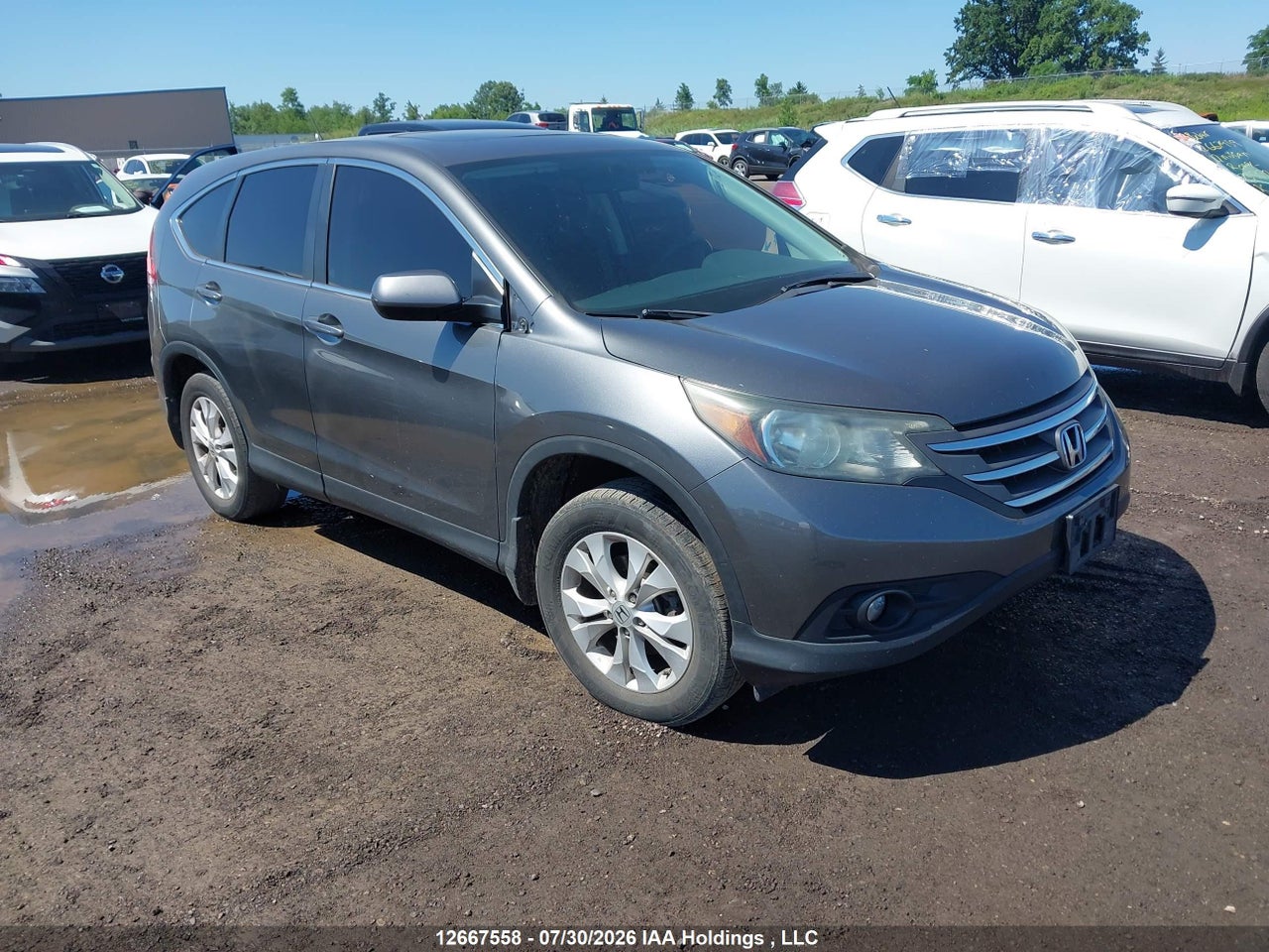 2HKRM4H56CH121447 · 2012 HONDA CR-V EX
